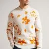 Ted Baker Sandsen Natural Flower Graphic Crew Neck Jumper 1 Ted Baker Sandsen Natural Flower Graphic Crew Neck Jumper -tedbaker Shop Online unnamed file 2017